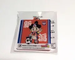 桃太郎電鉄 ワールド 桃鉄 非売品 夜叉姫 アクリルキーホルダー さくま 