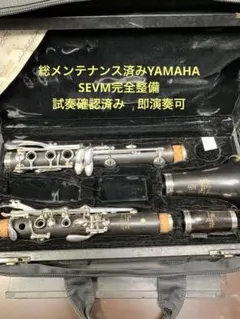 2026年最新】バレル クラリネットの人気アイテム - メルカリ