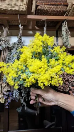 2026年最新】パールアカシアリースの人気アイテム - メルカリ