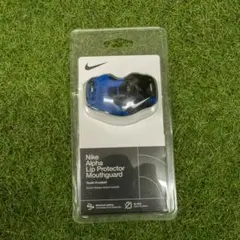 Item thumbnail for item 499edab2-d58a-4294-998b-da4a522f5118