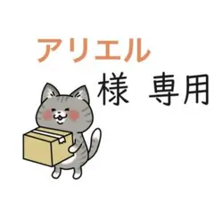 【アリエル様専用】おまとめページ