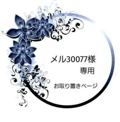 【1711】メル30077様　専用　レジン　ヘアゴム　ポニーフック　ブロ―チ