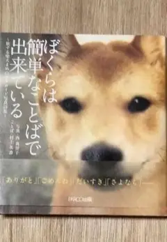 Item thumbnail for item 40c2cea7-f716-4fbe-9ab0-0718055acc03