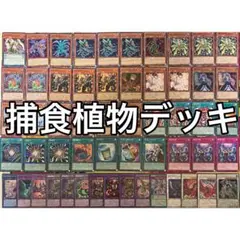 本格構築 【騎甲虫インセクト】デッキ メイン＆EX15枚＆二重スリーブ セット 本格構築 【騎甲虫インセクト】デッキ メイン＆EX15枚＆二重スリーブ