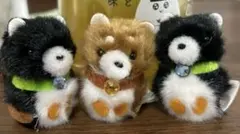 ひよこのおかげ マスコット ぴよりーなのサムネイル