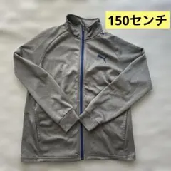 Puma ジップアップ　グレー　150センチ　プーマ ジャージ トップス
