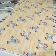 ラガディアンアンディ生地　100✕110