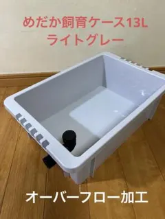 メダカ飼育ケース13L ライトグレー オーバーフロー加工のサムネイル