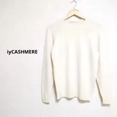 iyCASHMERE カシミヤ 長袖ニット アイボリー クルーネック サイズL