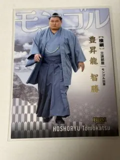 2026年最新】豊昇龍 カードの人気アイテム - メルカリ