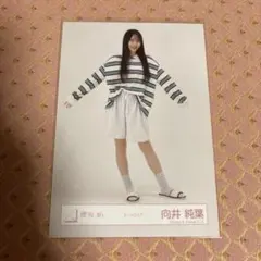 櫻坂46 向井純葉 ルームウェア 生写真