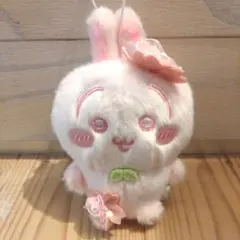 ちいかわ　ぬいぱれっと　さくらいろ　マスコット　うさぎ　③