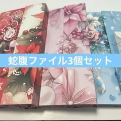 蛇腹ファイル おすそ分けファイル コラージュ素材 紙もの マステ 収納