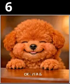 犬パネル生地 オーダー受付ページ ポーチ トートバッグ チワワ