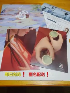 白蛇　浮生　５弾　入場者特典ポストカード2種　フライヤーセット