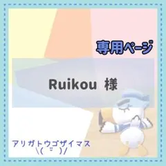 Ruikou様 リクエスト 2点 まとめ商品