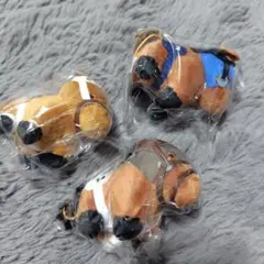 サラブレッドコレクション ぷちぬいぐるみ7 3種のみ