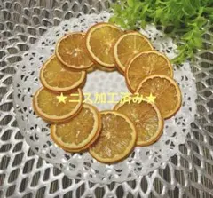 ドライオレンジ　ドライフルーツ　花材素材　№0692