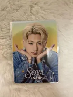 猪狩蒼弥　プロフィールカード