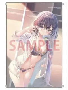 才女のお世話 3 メロンブックス タペストリー