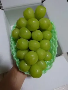 【ちびゴリラさま専用】【山梨県産】シャインマスカット 2房