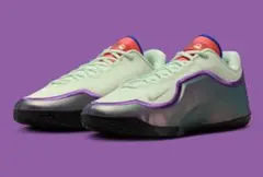 レブロン21 EP LEBRON XXI EP VIOLET DUST 29 - メルカリ