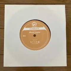 中古美品!! EVISBEATS AMIDA アナログ2LPレコード 2025年最新】AMIDA EVISBEATSの人気アイテム - メルカリ