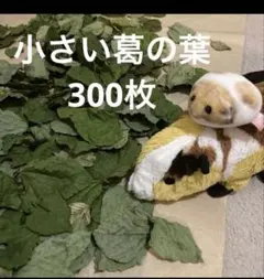 龍様 リクエスト 3点 まとめ商品