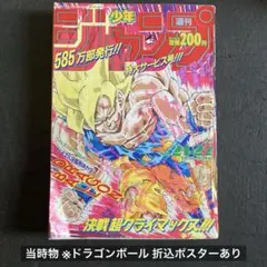 週刊少年ジャンプ 1991年21・22合併号 集英社 週刊少年ジャンプ 1991年 (平成3年) 21+22号特大号