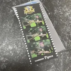 阪神タイガース　2025 セリーグ優勝記念ビールかけ　フォトグレイ　大山悠輔