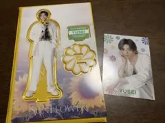 FANTASTICS 八木勇征 アクリルスタンド フォトカ SUNFLOWER - メルカリ