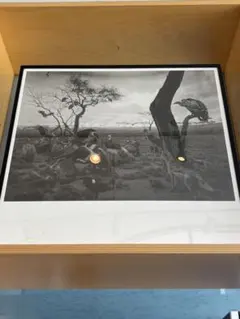 杉本博司　限定ポスター2枚『大きな女性像』 『ハイエナ、ジャッカル、コンドル』 杉本博司 ポスターセット『大きな女性像』 『ハイエナ