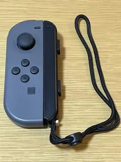任天堂Switchジョイコングレー＋ストラップセット