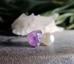 ドロップ様専用ページ