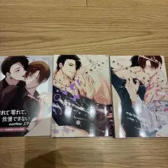 【アニメイト有償特典小冊子付】溢れて零れて、我慢できない overflow上下巻