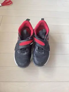 NIKE ナイキ チームハッスル D 11 バッシュ　室内履き　22cm