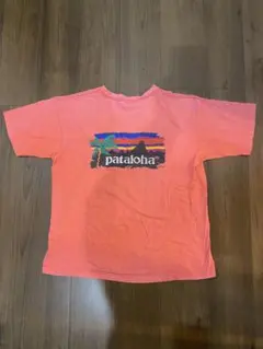 patagonia Tシャツ Lサイズ　雪なしタグ