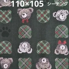 Item thumbnail for item ed89e8bb-4459-48a2-8c0c-650095bad48e