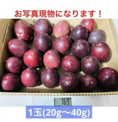 数量限定☆No.1沖縄産！規格外パッションフルーツをコンパクトBOXにいっぱい！のサムネイル
