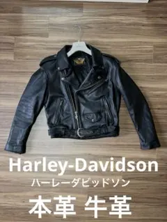 ⭐︎値下げ⭐︎I HARLEY DAVIDSON シングル ライダース レザー 2025年最新】Harley-Davidson メンズ レザージャケット