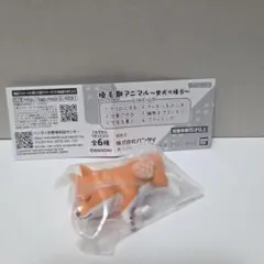 換毛期アニマル 柴犬の場合