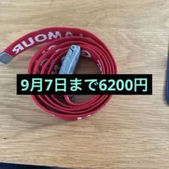 ヒステリックグラマーBAD MOTHER FUCKER レザーベルト ブラウン - メルカリ