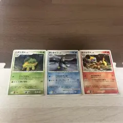 ポケモンカード ハヤシガメ ポッタイシ モウカザル 3枚セットのサムネイル