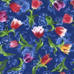 輸入生地 Spring in Delft