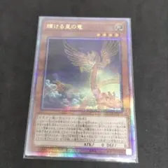 25th 遊戯王OCG デュエルモンスターズ