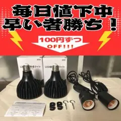 15W植物育成ライトGrowLight PAR20 6000K 3個 - メルカリ