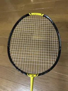 【ジャンク品】ナノフレア1000Z/ASSAILANT PRO/BX900-4 ジャンク品】ナノフレア1000Z/ASSAILANT PRO/BX900-4 ジャンク品