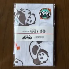 Item thumbnail for item 0e317a3d-63d3-49bd-a53d-d68ae009c746