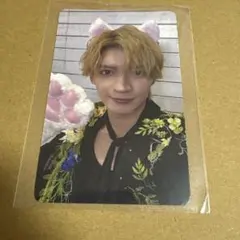原因は自分にある。 杢代和人 猫なでてトレカ