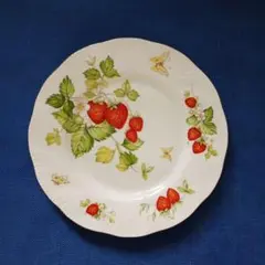 フランスアンティーク ディゴワン いちごステンシル バルボティーヌ ケーキ皿 m93835590677_1.jpg?1772174157